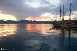 Albatros Marina photo 24