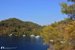 Göcek Adası Büyük Koy photo 4