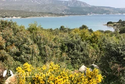 Engeceli Port photo 6
