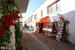 Teos Marina photo 20