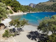 Darboğaz Koyu photo 15