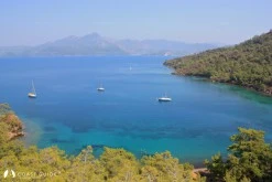 Çamurlu Koy photo 7