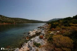Su Adası Koyu(St.Paul) photo 3
