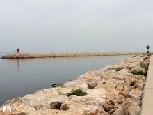 Bandırma Barınağı photo 8