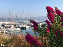 Egesu Güllük Marina - Photo 4