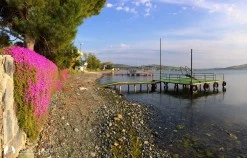 Paşalimanı Adası photo 15