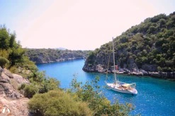 Buzağlık Koyu photo 3