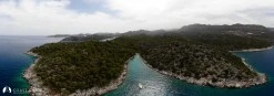 Çamlık Koyu photo 1