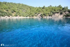 Armutlu Su Koyu photo 13