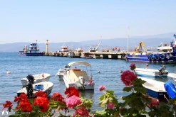 Güllük photo 10