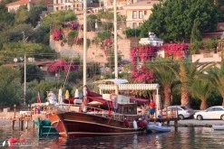 Söğüt Port photo 13