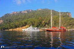 Darboğaz Koyu photo 7