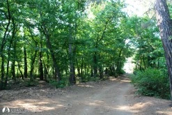 Büyük Çatı Koyu photo 13
