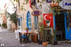 Port Alaçatı Marina photo 19