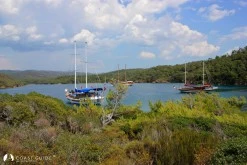 Uzun Liman photo 7