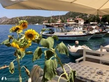 Söğüt Port photo 29