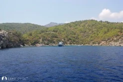 Armutlu Su Koyu photo 4
