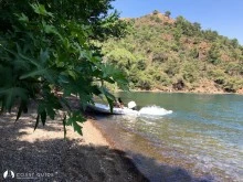 Günlüklü Koy photo 4