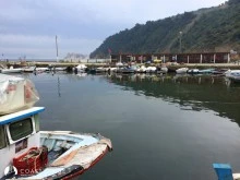 Trilye photo 11