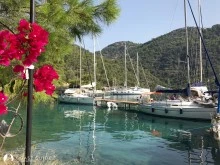 Taşkaya (Bedri Rahmi) Koyu  photo 36