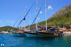 Kargıcık Bükü photo 4