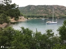 Killebükü photo 14