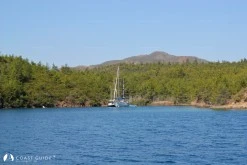 Okluk Koyu photo 5