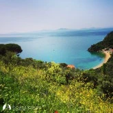 Asmalı photo 17